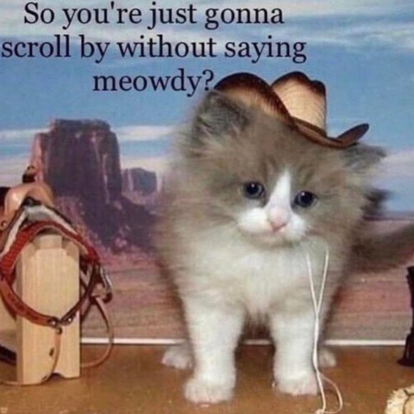 Welcome to Catwitch666’s closet! - Picture 2 of 8